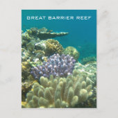 große Barrierekoralle Postkarte (Vorderseite)