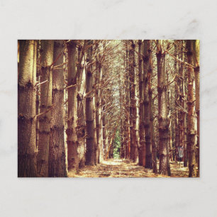 Große Bäume Feiertagspostkarte