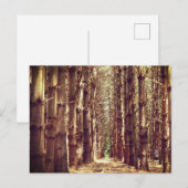 Große Bäume Feiertagspostkarte (Vorne/Hinten)