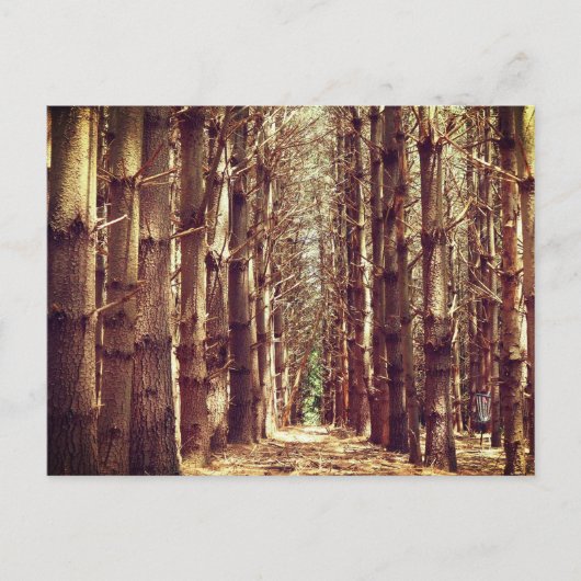 Große Bäume Feiertagspostkarte (Vorderseite)