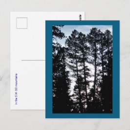 Große Bäume im CO Berg Postkarte