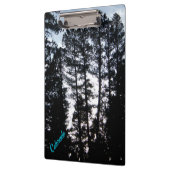 Große Bäume im CO-Gebirge - Zwischenablage Klemmbrett (Links)