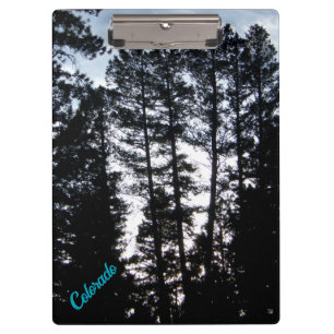 Große Bäume im CO-Gebirge - Zwischenablage Klemmbrett