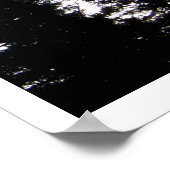 Große Bäume im Colorado Mountains Poster (Ecke)