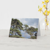 Große Bäume mit blauer Himmelsblume Karte (Gelbe Blume)