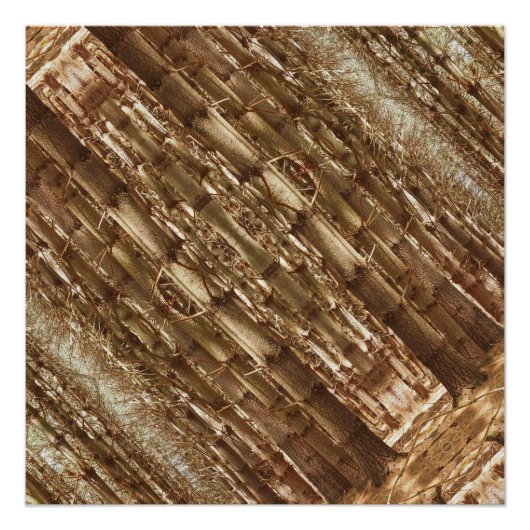 Große Bäume Poster (Vorderseite)