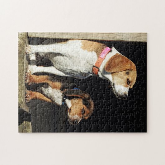 Große Beagle-Schwester u. kleiner Bruder-Beagle Puzzle (Horizontal)