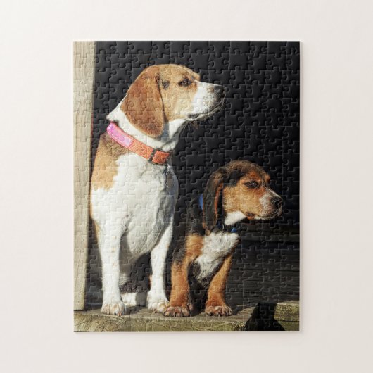 Große Beagle-Schwester u. kleiner Bruder-Beagle Puzzle (Vertikal)