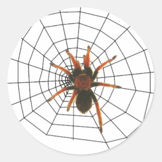 große beängstigende Spinne Runder Aufkleber