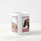 Große belgische Tassen (Mittel)