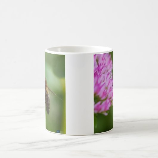 Große Biene auf einer Tasse (Mittel)