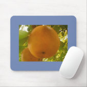 Große Birne Mousepad (Mit Mouse)