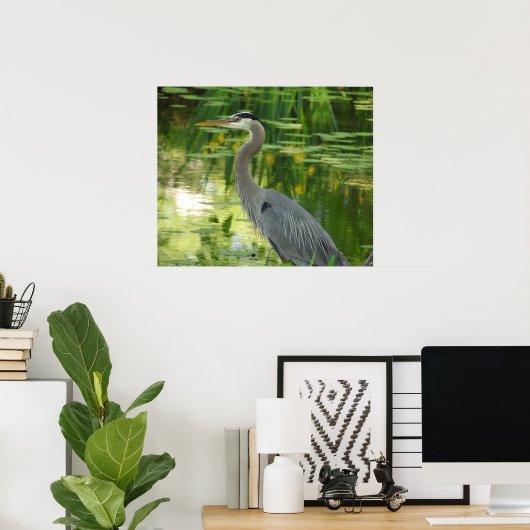 Große Blaue Herde im Teich grün Poster (Heimbüro)