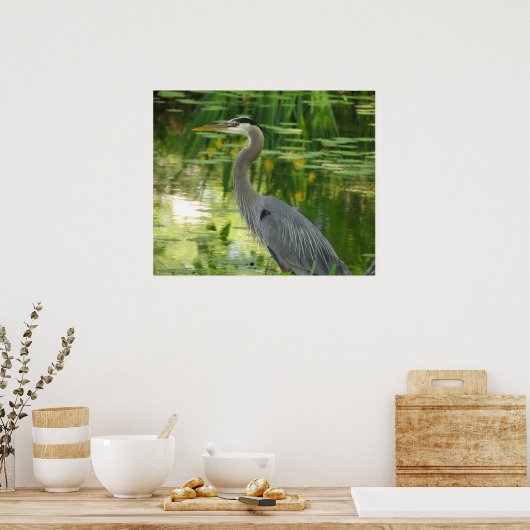 Große Blaue Herde im Teich grün Poster (Küche)