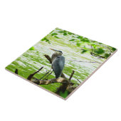 Große Blaue Herde Quelle Flusswald Natur Fliese (Seite)