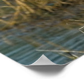 Große blaue Heron am Teich Print Poster (Ecke)