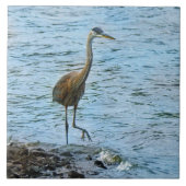 Große Blaue Herone Stehend im Wasser Fliese (Vorderseite)