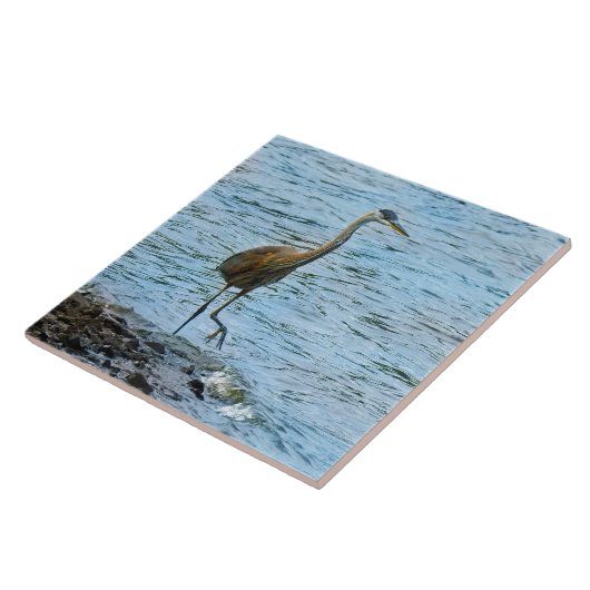 Große Blaue Herone Stehend im Wasser Fliese (Seite)