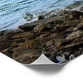 Große Blaue Herone Stehend im Wasser Poster (Ecke)