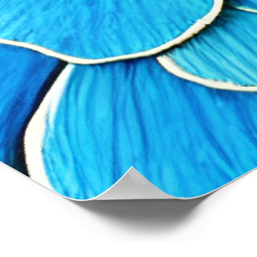 Große Blaue Kamelie Blossom Poster (Ecke)