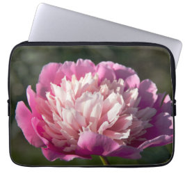 Große Blume aus rosafarbenem Pinien am Frühlingsta Laptopschutzhülle