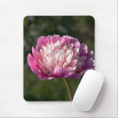 Große Blume aus rosafarbenem Pinien am Frühlingsta Mousepad (Mit Mouse)