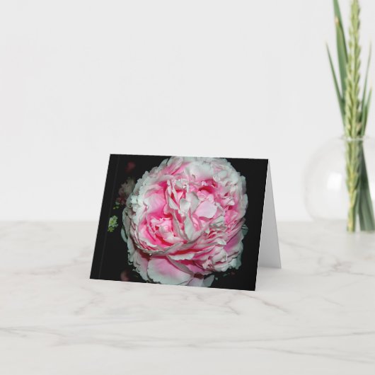 Große Blume NoteCards Feiertagskarte (Vorderseite)