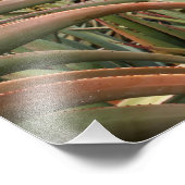 Große Blütewohnung Fotodruck (Ecke)