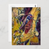 Große braune Cicada: Postkarte (Vorne/Hinten)