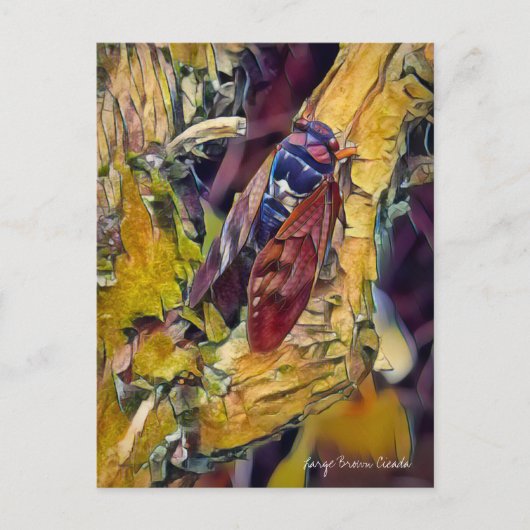 Große braune Cicada: Postkarte (Vorderseite)