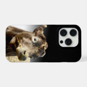 Große braune Kuh kaut an Heu, iPhone Hülle (Rückseite (Horizontal))