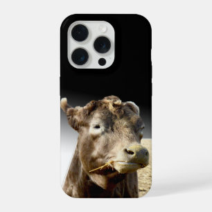 Große braune Kuh kaut an Heu, iPhone 15 Pro Hülle