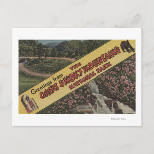 Große Buchstabenszenen - Smoky Mts. Nat'l Park, TN Postkarte