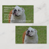 Große Bulldogge Visitenkarte (Vorne/Hinten)