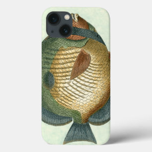 Große bunte Fische iPhone 13 Hülle