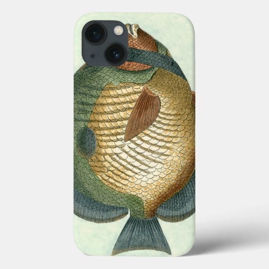 Große bunte Fische Case-Mate iPhone Hülle (Rückseite)