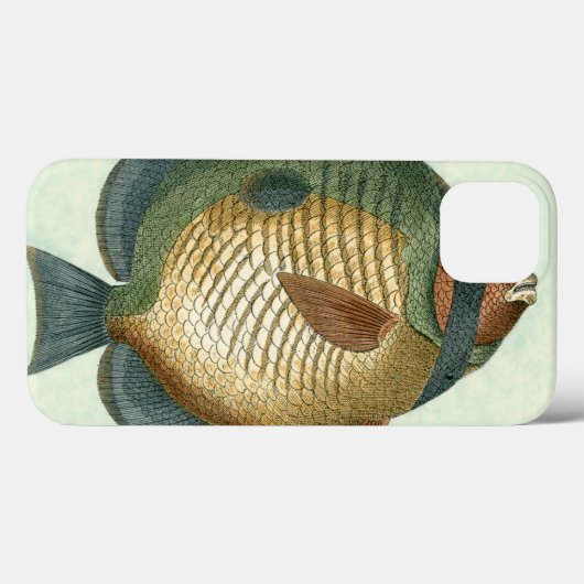 Große bunte Fische Case-Mate iPhone Hülle (Rückseite (Horizontal))