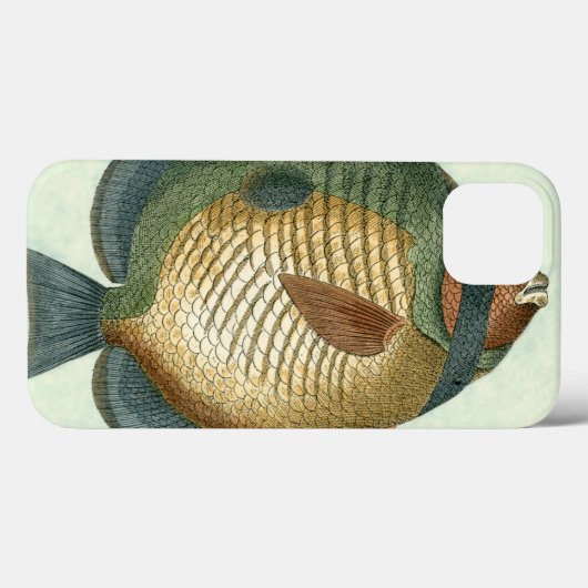 Große bunte Fische Case-Mate iPhone Hülle (Rückseite (Horizontal))