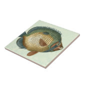 Große bunte Fische Fliese (Seite)