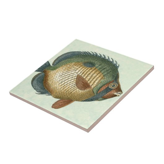 Große bunte Fische Fliese (Seite)