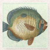 Große bunte Fische Glasuntersetzer (Vorderseite)