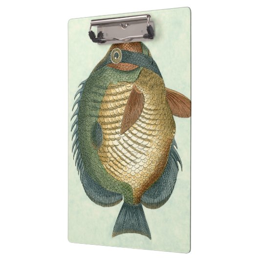 Große bunte Fische Klemmbrett (Links)