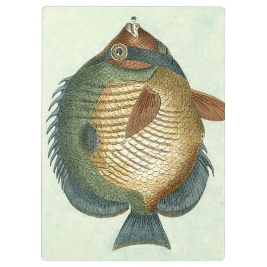 Große bunte Fische Klemmbrett (Rückseite)