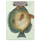 Große bunte Fische Klemmbrett (Vorderseite)