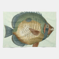 Große bunte Fische