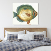 Große bunte Fische Leinwanddruck (Insitu (Schlafzimmer))