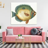 Große bunte Fische Leinwanddruck (Insitu (Wohnzimmer))