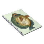 Große bunte Fische Notizblock (Rechte Seite)