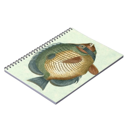 Große bunte Fische Notizblock (Linke Seite)