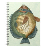 Große bunte Fische Notizblock (Vorderseite)